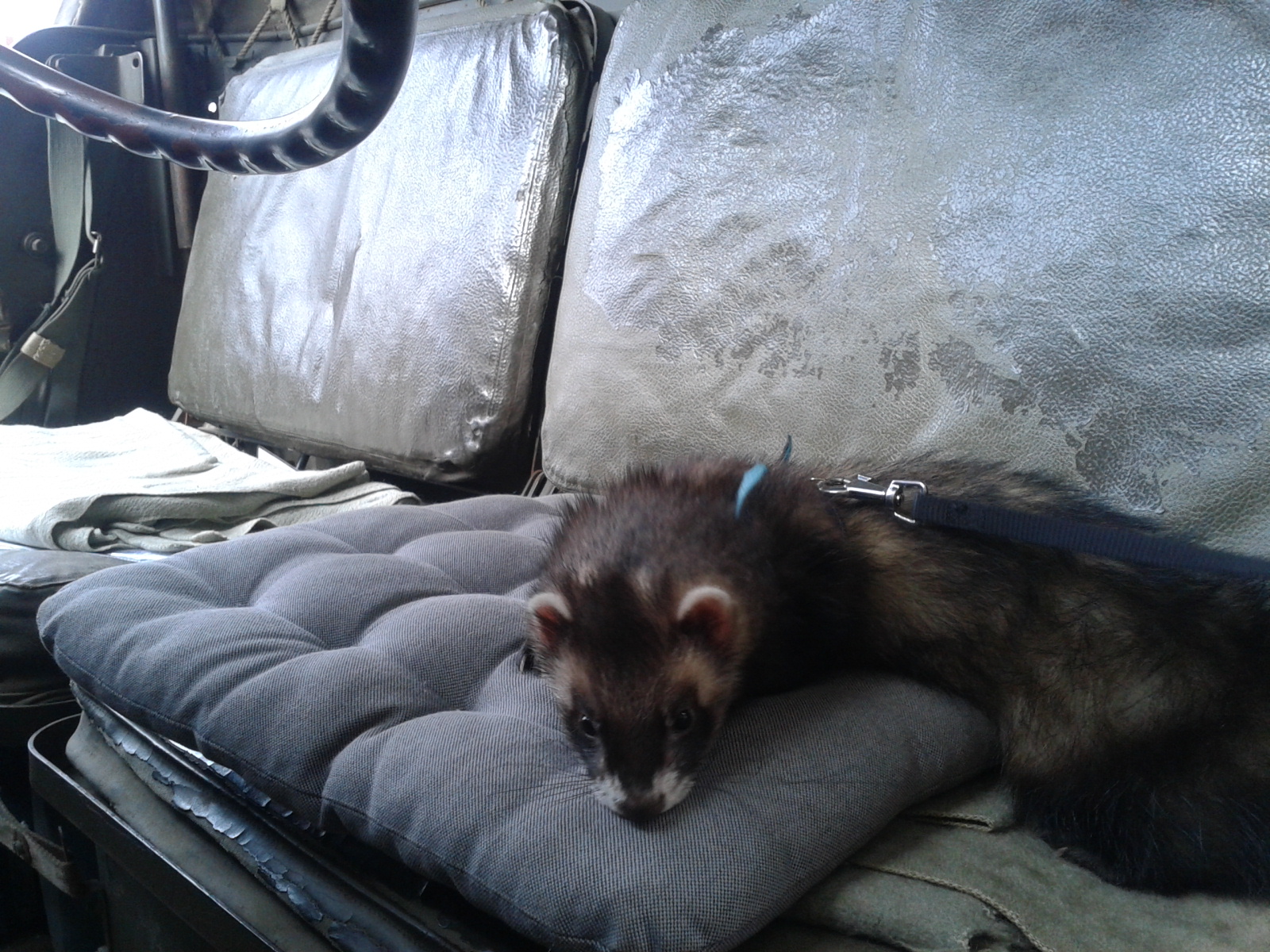 20220429-0501_Brušperk s Liborem Hrabalem (106)