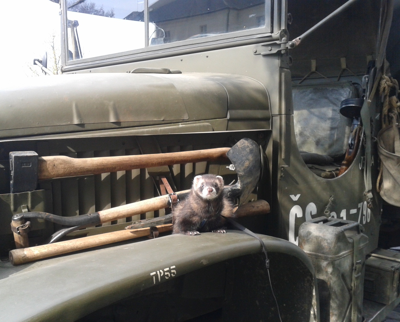 20220429-0501_Brušperk s Liborem Hrabalem (110)