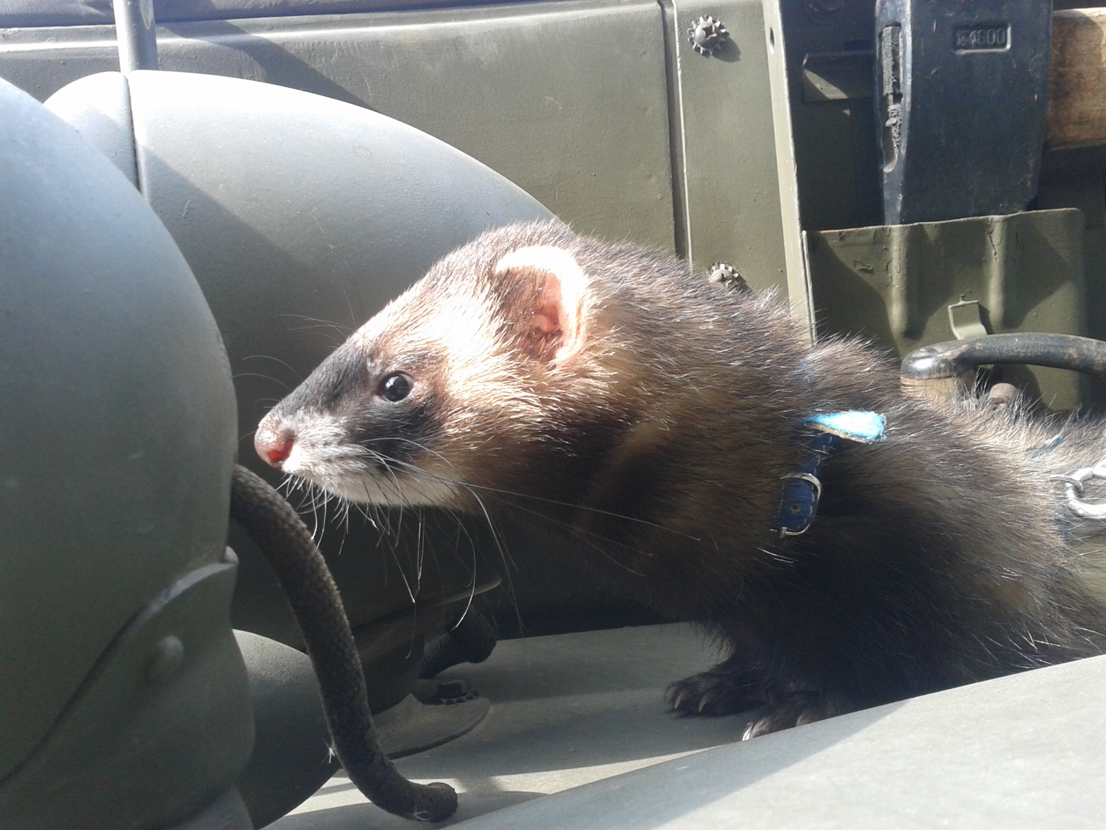 20220429-0501_Brušperk s Liborem Hrabalem (111)