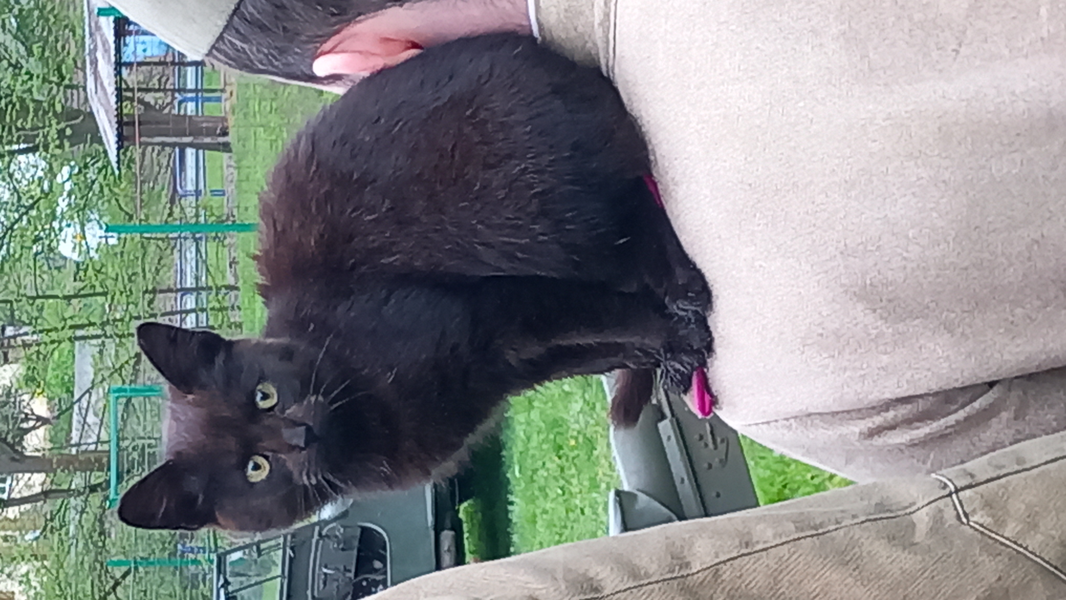 20230506-8_Skalice a okolí s Drahošem (8)